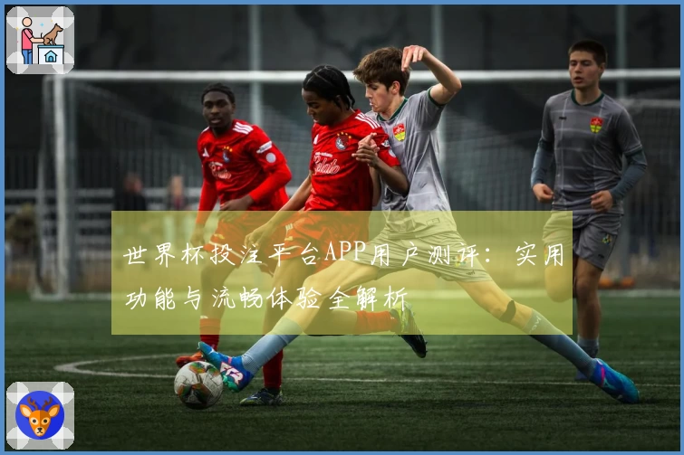世界杯投注平台APP用户测评：实用功能与流畅体验全解析