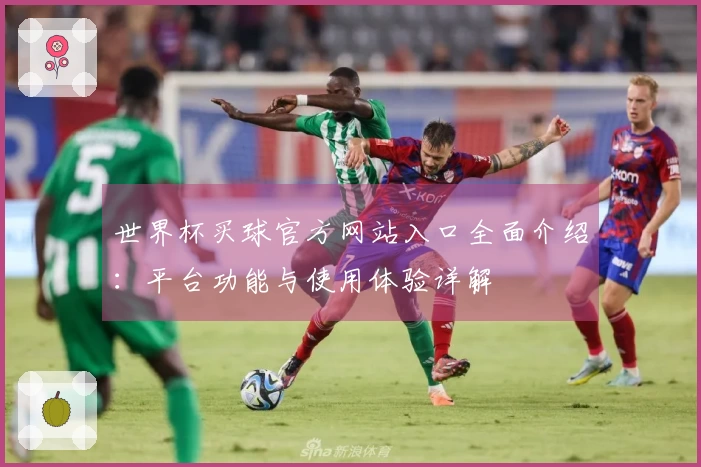 世界杯买球官方网站入口全面介绍：平台功能与使用体验详解