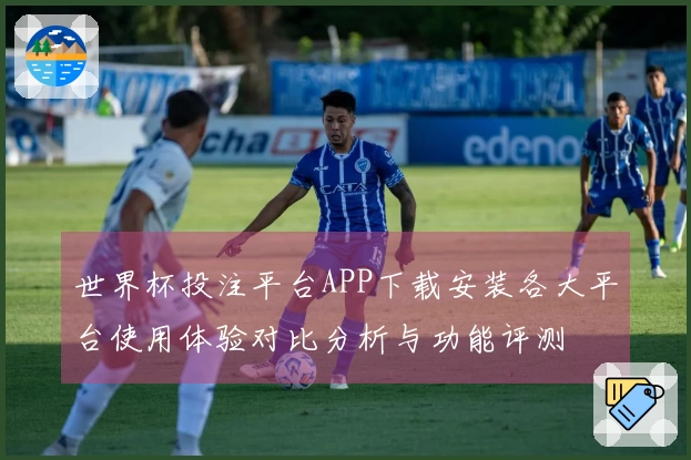 世界杯投注平台APP下载安装各大平台使用体验对比分析与功能评测