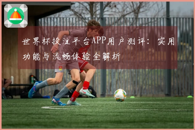 世界杯投注平台APP用户测评：实用功能与流畅体验全解析
