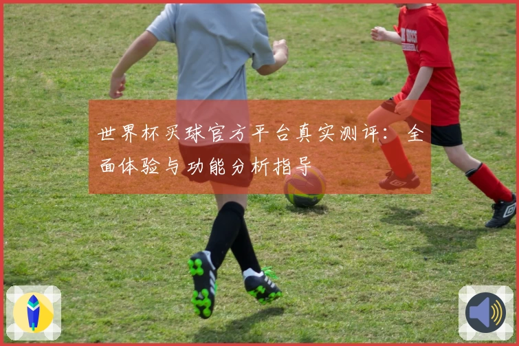 世界杯买球官方平台真实测评:全面体验与功能分析指导
