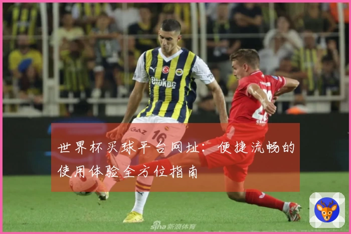 世界杯买球平台网址：便捷流畅的使用体验全方位指南